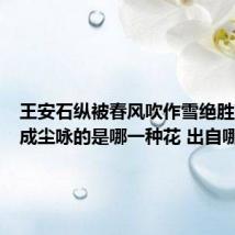 王安石纵被春风吹作雪绝胜南陌碾成尘咏的是哪一种花 出自哪首诗