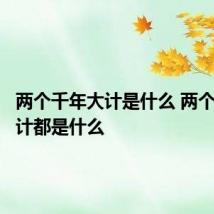 两个千年大计是什么 两个千年大计都是什么