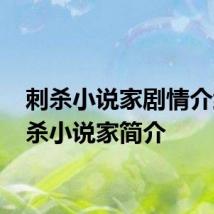 刺杀小说家剧情介绍 刺杀小说家简介