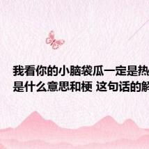 我看你的小脑袋瓜一定是热昏头了是什么意思和梗 这句话的解释
