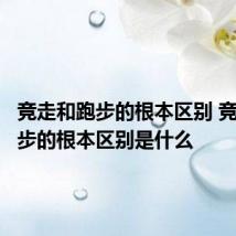 竞走和跑步的根本区别 竞走和跑步的根本区别是什么