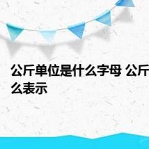 公斤单位是什么字母 公斤单位怎么表示