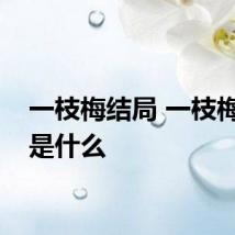 一枝梅结局 一枝梅结局是什么