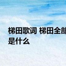 梯田歌词 梯田全部歌词是什么