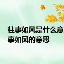 往事如风是什么意思 往事如风的意思