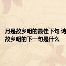月是故乡明的最佳下句 诗句月是故乡明的下一句是什么