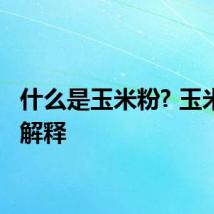 什么是玉米粉? 玉米粉的解释