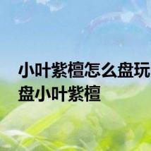 小叶紫檀怎么盘玩 如何盘小叶紫檀