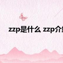 zzp是什么 zzp介绍