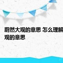 蔚然大观的意思 怎么理解蔚然大观的意思