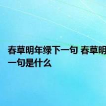 春草明年绿下一句 春草明年绿下一句是什么