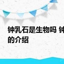 钟乳石是生物吗 钟乳石的介绍