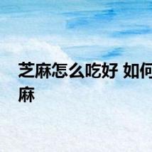芝麻怎么吃好 如何吃芝麻