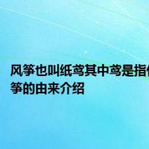 风筝也叫纸鸢其中鸢是指什么 风筝的由来介绍