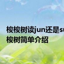 梭梭树读jun还是suo 梭梭树简单介绍