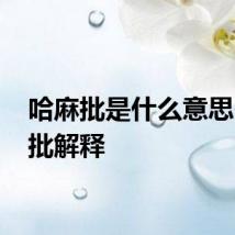 哈麻批是什么意思 哈麻批解释