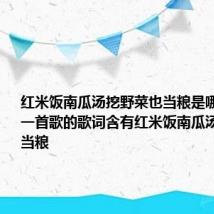 红米饭南瓜汤挖野菜也当粮是哪首歌 哪一首歌的歌词含有红米饭南瓜汤挖野菜也当粮