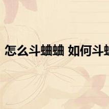 怎么斗蛐蛐 如何斗蛐蛐