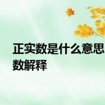 正实数是什么意思 正实数解释