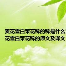 麦花雪白菜花稀的稀是什么意思 麦花雪白菜花稀的原文及译文