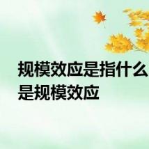 规模效应是指什么 什么是规模效应
