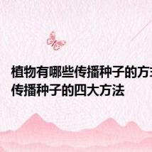 植物有哪些传播种子的方式 植物传播种子的四大方法