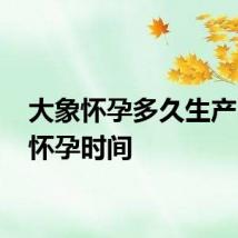 大象怀孕多久生产 大象怀孕时间