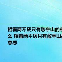相看两不厌只有敬亭山的意思是什么 相看两不厌只有敬亭山是什么的意思