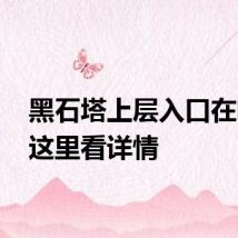 黑石塔上层入口在哪 来这里看详情