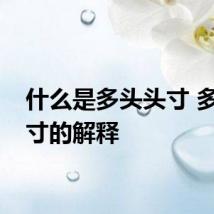 什么是多头头寸 多头头寸的解释
