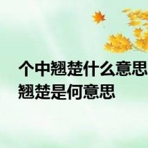 个中翘楚什么意思 个中翘楚是何意思