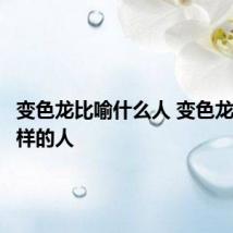 变色龙比喻什么人 变色龙比喻怎样的人
