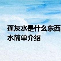 蓬灰水是什么东西 蓬灰水简单介绍