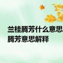兰桂腾芳什么意思 兰桂腾芳意思解释