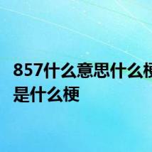 857什么意思什么梗 857是什么梗