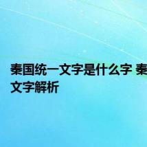 秦国统一文字是什么字 秦国统一文字解析
