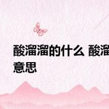酸溜溜的什么 酸溜溜的意思