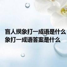 盲人摸象打一成语是什么 盲人摸象打一成语答案是什么