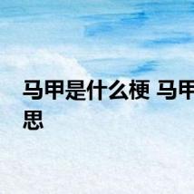 马甲是什么梗 马甲的意思