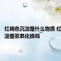 红褐色沉淀是什么物质 红褐色沉淀是氢氧化铁吗