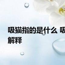 吸猫指的是什么 吸猫的解释
