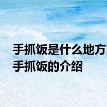 手抓饭是什么地方的菜 手抓饭的介绍