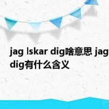 jag lskar dig啥意思 jag lskar dig有什么含义
