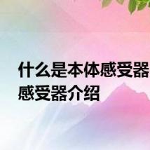 什么是本体感受器 本体感受器介绍