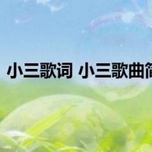 小三歌词 小三歌曲简介