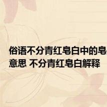 俗语不分青红皂白中的皂是什么意思 不分青红皂白解释