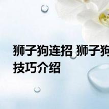 狮子狗连招 狮子狗连招技巧介绍