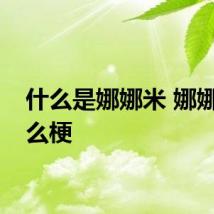 什么是娜娜米 娜娜米什么梗