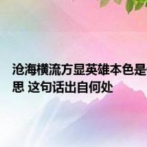 沧海横流方显英雄本色是什么意思 这句话出自何处