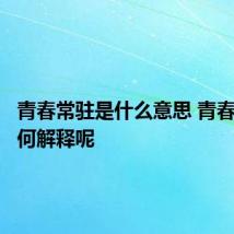 青春常驻是什么意思 青春常驻如何解释呢